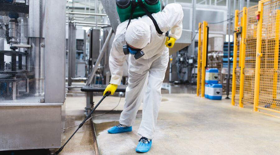 Professional termite inspection services in Peterson Park - Termite Inspection Peterson Park